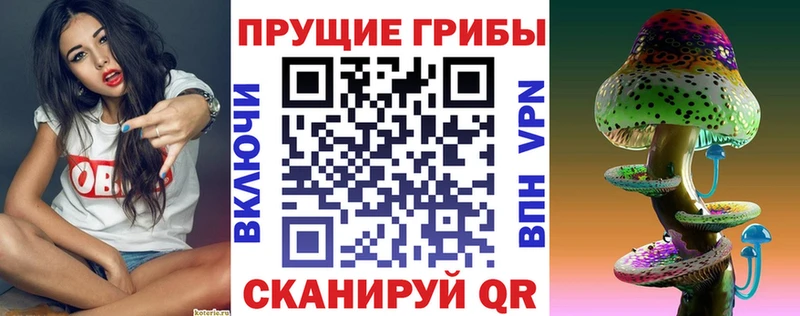 Псилоцибиновые грибы мицелий  Волгореченск 